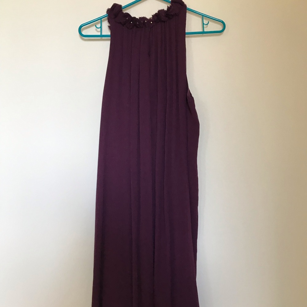 Adam Lippes Plum Dress with Ruffled Collar